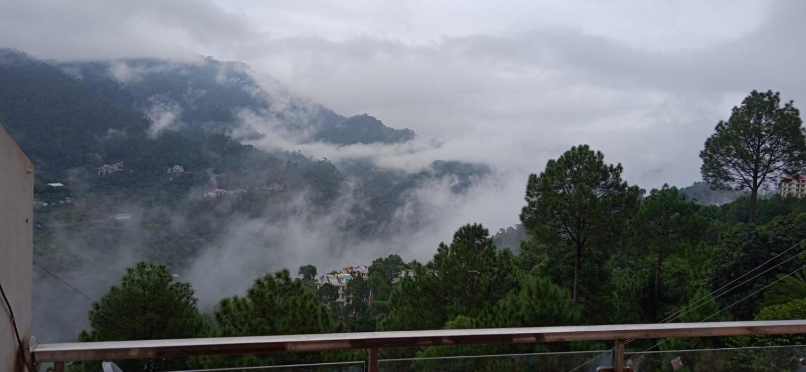Mystic Forest View Kasauli I Serviced Villa I Best Seller I Vacations I Family Events I Open Air Lawn I Sky Bonfire I Kasauli By Exotic Stays Extérieur photo