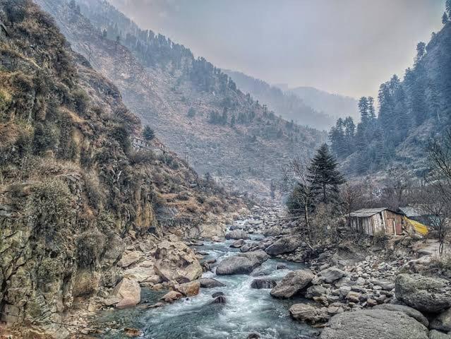 Mystic Forest View Kasauli I Serviced Villa I Best Seller I Vacations I Family Events I Open Air Lawn I Sky Bonfire I Kasauli By Exotic Stays Extérieur photo