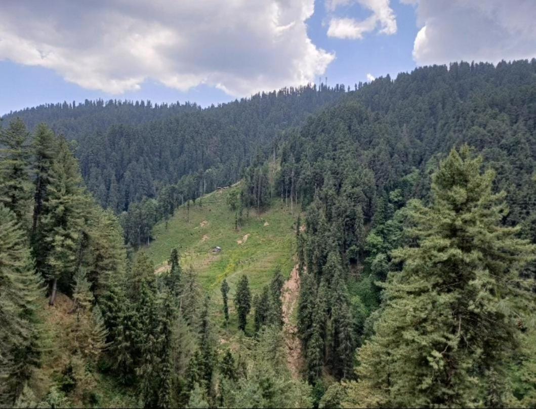 Mystic Forest View Kasauli I Serviced Villa I Best Seller I Vacations I Family Events I Open Air Lawn I Sky Bonfire I Kasauli By Exotic Stays Extérieur photo