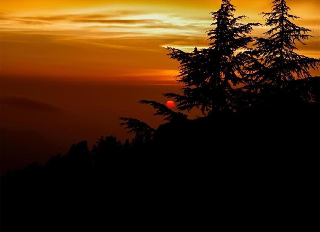 Mystic Forest View Kasauli I Serviced Villa I Best Seller I Vacations I Family Events I Open Air Lawn I Sky Bonfire I Kasauli By Exotic Stays Extérieur photo
