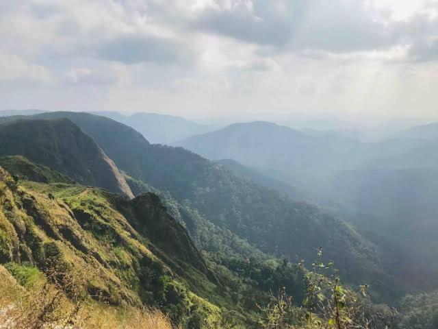 Mystic Forest View Kasauli I Serviced Villa I Best Seller I Vacations I Family Events I Open Air Lawn I Sky Bonfire I Kasauli By Exotic Stays Extérieur photo