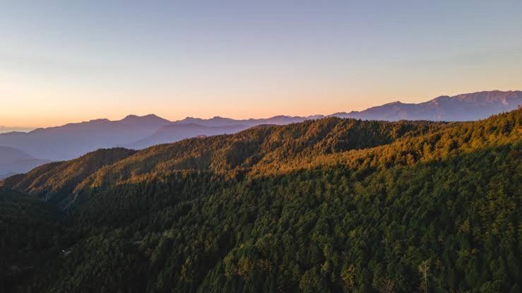 Mystic Forest View Kasauli I Serviced Villa I Best Seller I Vacations I Family Events I Open Air Lawn I Sky Bonfire I Kasauli By Exotic Stays Extérieur photo