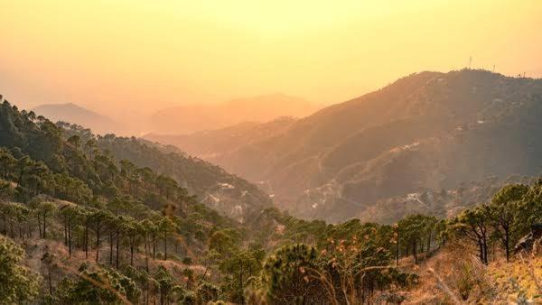 Mystic Forest View Kasauli I Serviced Villa I Best Seller I Vacations I Family Events I Open Air Lawn I Sky Bonfire I Kasauli By Exotic Stays Extérieur photo