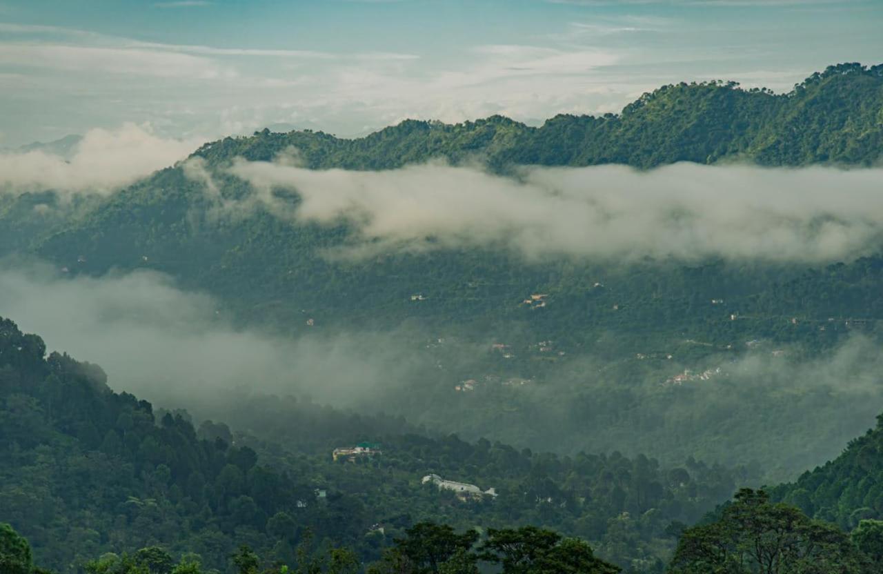 Mystic Forest View Kasauli I Serviced Villa I Best Seller I Vacations I Family Events I Open Air Lawn I Sky Bonfire I Kasauli By Exotic Stays Extérieur photo